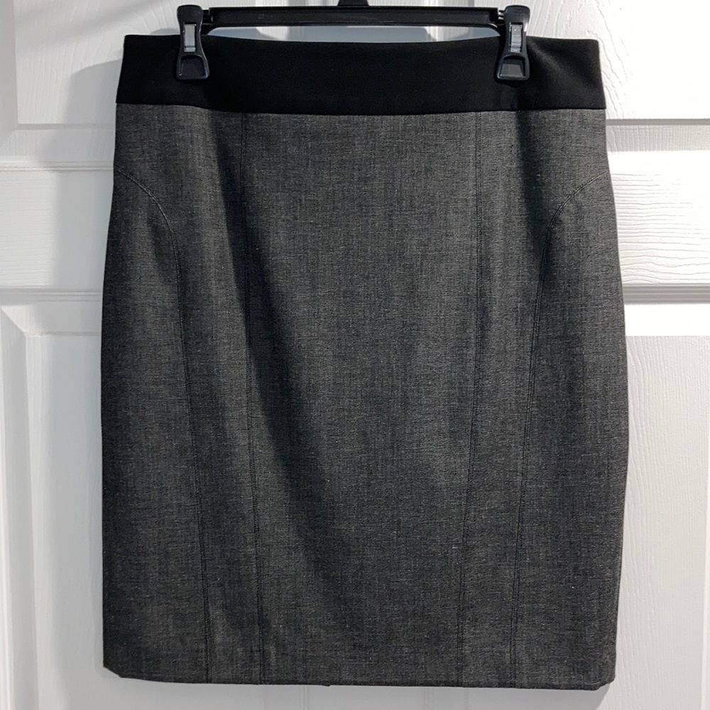 The Limited Skirt